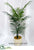Dwarf Areca Palm Tree - Green - Pack of 8