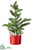 Pine Tree - Green - Pack of 6