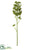 Soft Plastic Sedum Spray - Green - Pack of 12