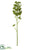 Soft Plastic Sedum Spray - Green - Pack of 12