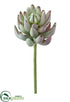Silk Plants Direct Senecio Pick - Green - Pack of 12