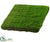 Moss Mat - Green - Pack of 6