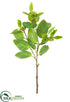 Silk Plants Direct Viburnum Spray - Green - Pack of 12