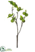Silk Plants Direct Crabapple Spray - Green - Pack of 48