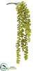 Silk Plants Direct Donkey's Tail Hanging Pick - Green - Pack of 12