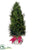Preserved Cedar Teardrop Topiary - Green - Pack of 2