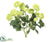 Mini Ranunculus Bush - Green - Pack of 12