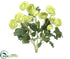 Silk Plants Direct Mini Ranunculus Bush - Green - Pack of 12