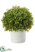 Silk Plants Direct Boxwood Ball - Green - Pack of 4