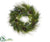 Silk Plants Direct Pine, Cedar, Eucalyptus, Cone Wreath - Green - Pack of 2