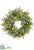 Eucalyptus, Sedum, Fern Wreath - Green - Pack of 1