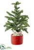 Silk Plants Direct Pine Tree - Green - Pack of 2