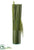 Silk Plants Direct Grass Berries in Vase - Green - Pack of 1