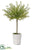 Myrtle Topiary - Green - Pack of 6