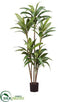 Silk Plants Direct Draceana Tree - Green - Pack of 2