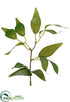 Silk Plants Direct Leaf Stem - Green - Pack of 24