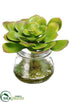 Silk Plants Direct Echeveria - Green - Pack of 12