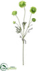 Silk Plants Direct Ranunculus Spray - Green - Pack of 6
