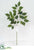 Ficus Spray - Green - Pack of 144