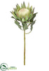 Silk Plants Direct Protea Spray - Green - Pack of 12