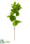 Salal Leaf Spray - Green - Pack of 12