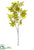 Sorbus Leaf Spray - Green - Pack of 6