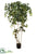 Giant Ivy Tree - Green - Pack of 2