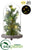 Battery Operated Juniper Tree With Light in Glass Dome - Green - Pack of 6