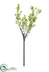 Silk Plants Direct Snowball Branch - Green - Pack of 2