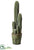 Column Cactus - Green - Pack of 2