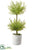 Myrtle Topiary - Green - Pack of 4