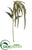Amaranthus Spray - Green - Pack of 6