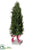 Preserved Cedar Teardrop Topiary - Green - Pack of 2