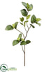 Silk Plants Direct Piper Sarmentosum Leaf Branch - Green - Pack of 6