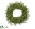 Cedar Wreath - Green - Pack of 2