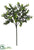 Boxwood Spray w/36 Cluster Leaves - Green - Pack of 12
