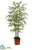 Bamboo Tree - Green - Pack of 1