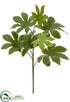 Silk Plants Direct Aralia Leaf Spray - Green - Pack of 12