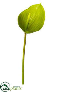 anthurium meaning in hindi Silk Plants Direct Anthurium Spray - Green
