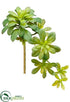 Silk Plants Direct Aeonium Pick - Green - Pack of 24