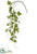 Silk Plants Direct Ivy Leaf Hanging Spray - Green - Pack of 12