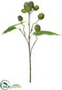 Silk Plants Direct Large Eucalyptus Pod Spray - Green - Pack of 12