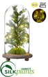 Silk Plants Direct Battery Operated Juniper Tree With Light in Glass Dome - Green - Pack of 3