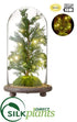 Silk Plants Direct Battery Operated Juniper Tree With Light in Glass Dome - Green - Pack of 3