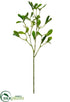 Silk Plants Direct Mistletoe Spray - Green - Pack of 12