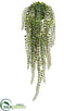 Silk Plants Direct Button Leaf Fern - Green - Pack of 6