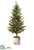 Pine Tree With Pine Cones - Green - Pack of 1