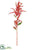 Amaranthus Hanging Spray - Red Green - Pack of 12