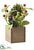 Pine Cone, Berry, Pod - Red Green - Pack of 6