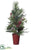 Berry, Mistletoe, Cone, Pine Tree - Red Green - Pack of 1